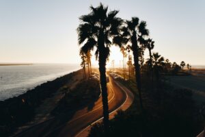 California, Coast. Palm Trees, Sunset, Beach